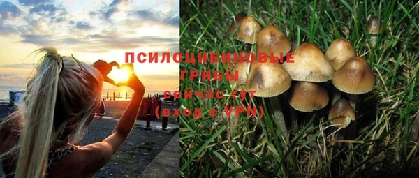МДПВ Абаза