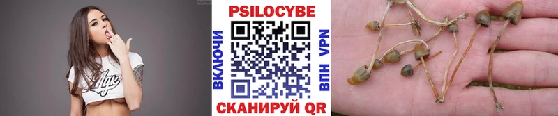 Псилоцибиновые грибы MAGIC MUSHROOMS  Кострома 